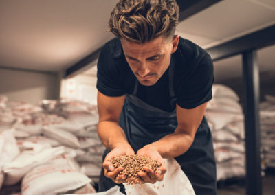 Master brewer checking the barley seeds